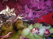 A Clash of Color