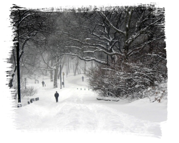 Central Park snowstorm