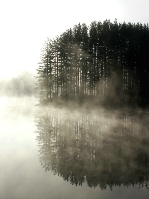 Fog and reflections