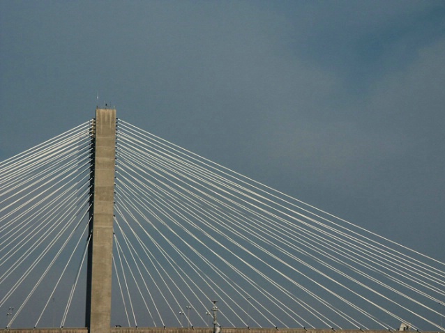 Savannah bridge