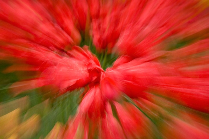Red Explosion - ID: 1987671 © Jim Miotke