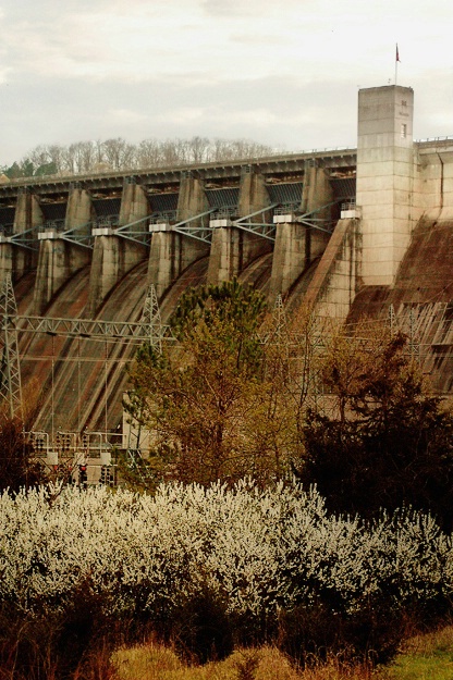 Spring Below the Dam