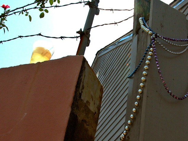 New Orleans Fence Tops - ID: 2015165 © Kathleen K. Parker