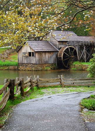 A Blue Ridge Spring