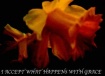 Grace