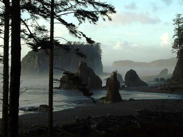 Ruby Beach Afternoon