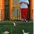 2The Pigeon Lady - ID: 2121267 © Kathleen K. Parker