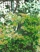 Greenery