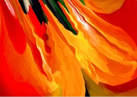 Flaming Petals