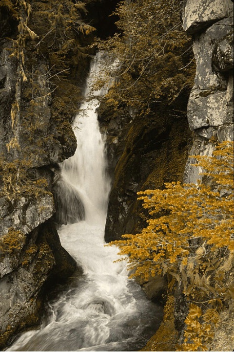 Christine Falls