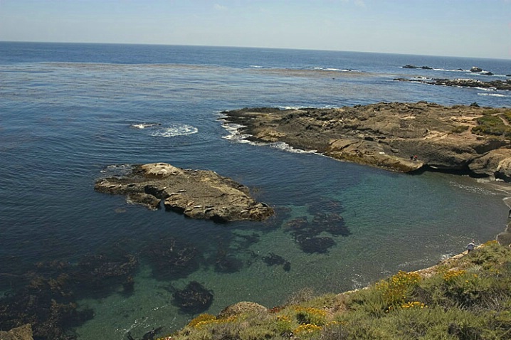 Point Lobos State Reserve, CA. - ID: 2430148 © John D. Jones