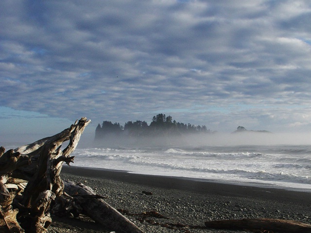 Clouds and Driftwood