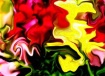 Nature Abstracted