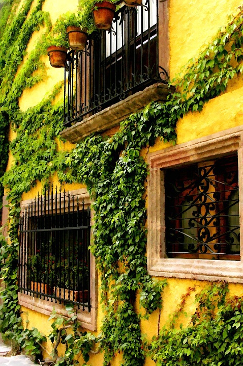 Ivy-Covered Casa