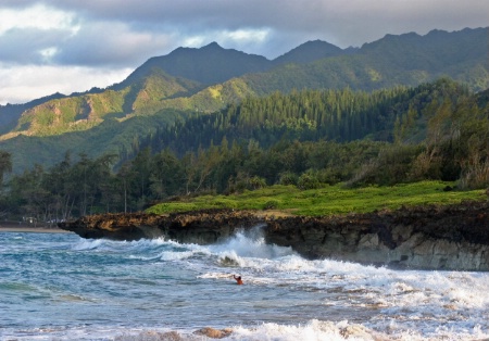 PARADISE in HAWAII