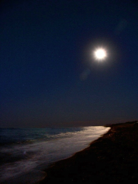 Night time shore in MX