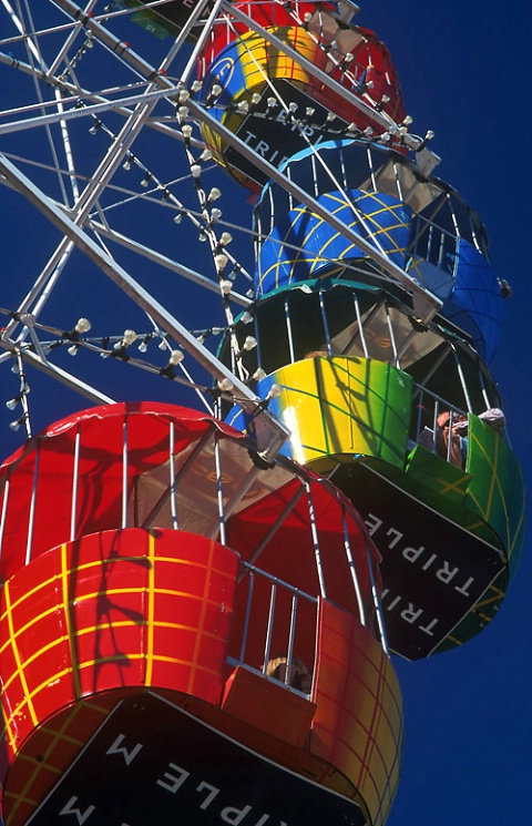 At the Ekka