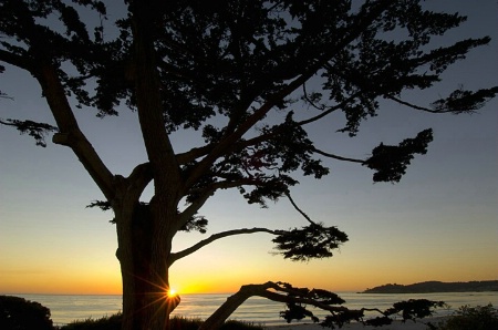 Coastal Silhouette-Horiz.