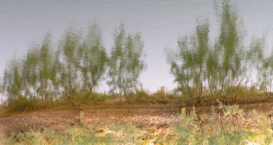 Reflected landscape