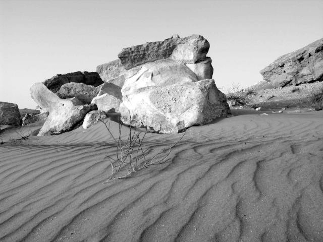 A desert scene 