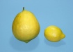 Lemon on Steroids