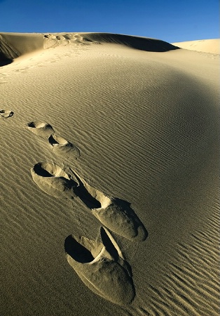 Footsteps in wilderness