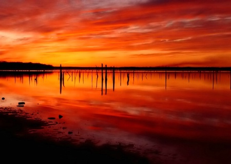Off Shore Glow*