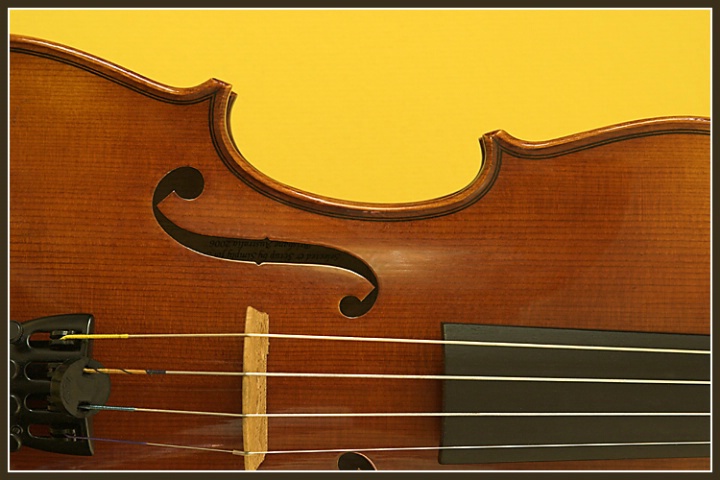 Jaclyns Violin