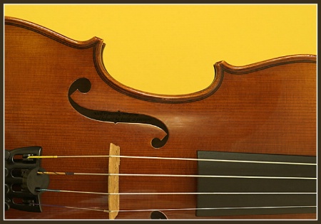 Jaclyns Violin