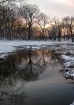 Winter at the Arb