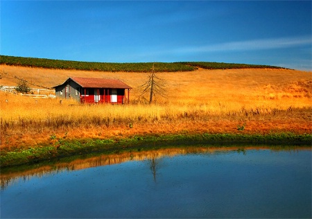 Solitary House