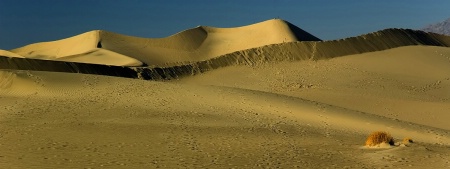 Sand Dunes