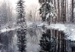 Winter Solace