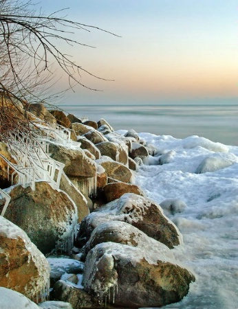 rocky shore at dawn