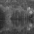 © Carolyn M. Fletcher PhotoID# 3440413: Quiet Glow