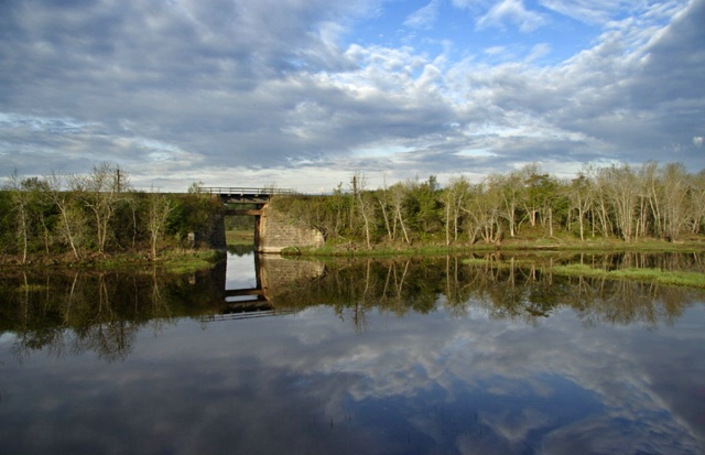 Marsh Reflections