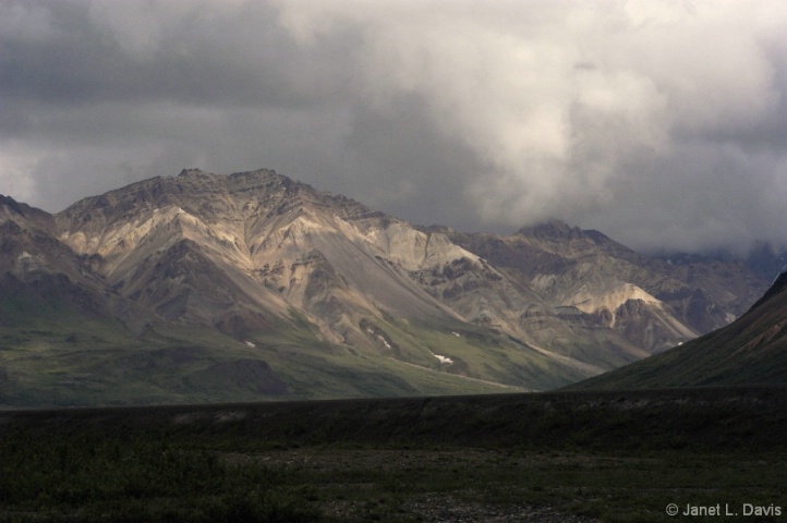 Alaska - Denali National Park