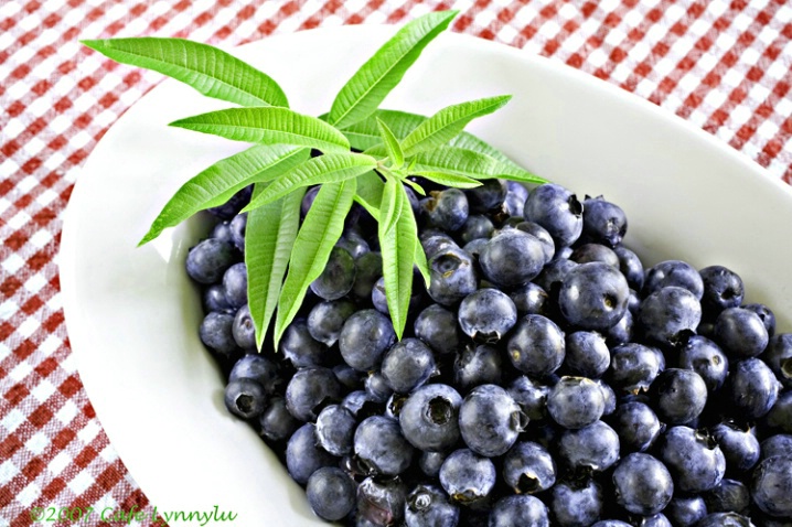 Blueberries and Lemon Verbena