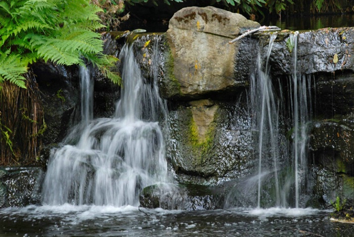 Cascade in the Park, Vancouver, BC - ID: 4179187 © Gerda Grice
