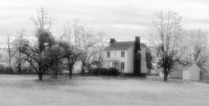 Country Living in Faux IR