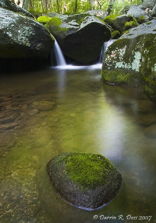 Tranquil Falls