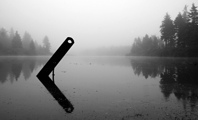 Foggy Pond