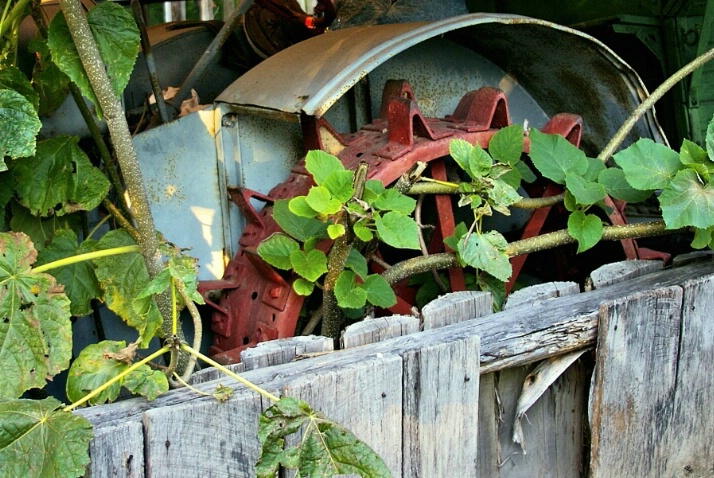 Retired Tractor
