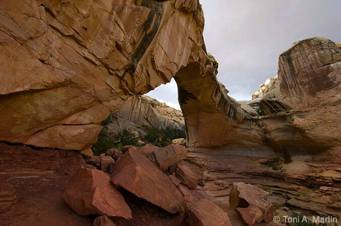 Hickman's Natural Bridge 1