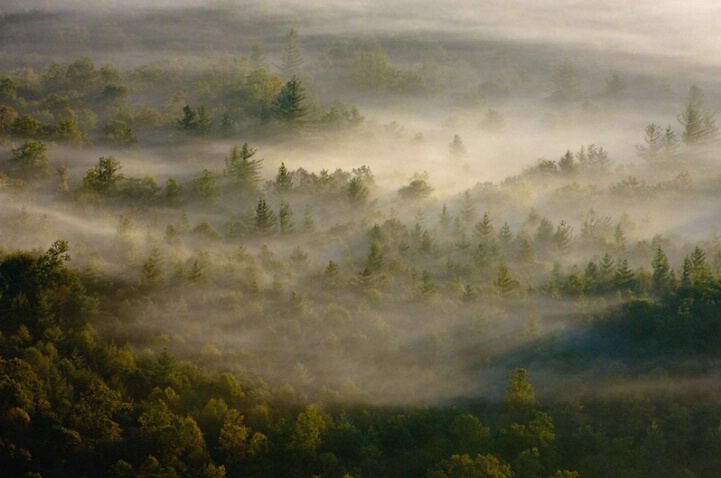 Fog In The Valley
