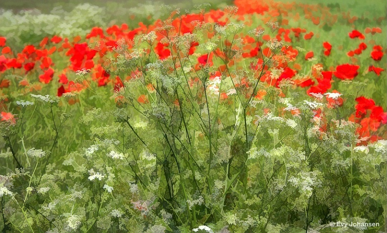 Tangled Weeds