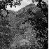 © Carolyn M. Fletcher PhotoID# 5087737: McKittrick Canyon