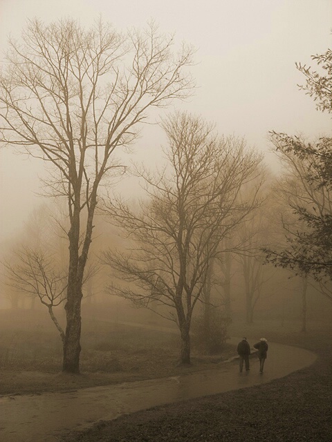 A Stroll in the Mist