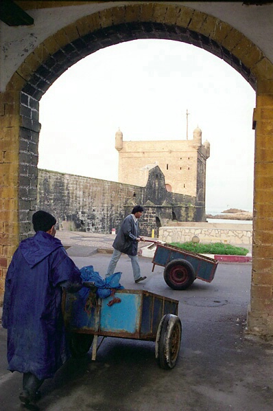 commercial crossroads, the fish market in Essouira