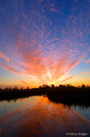 Pond Reflection 3 - Sunset